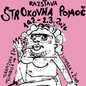Strokovna pomoč – Nikolina Sutarić