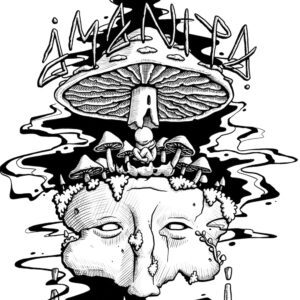 Who is Amanita?